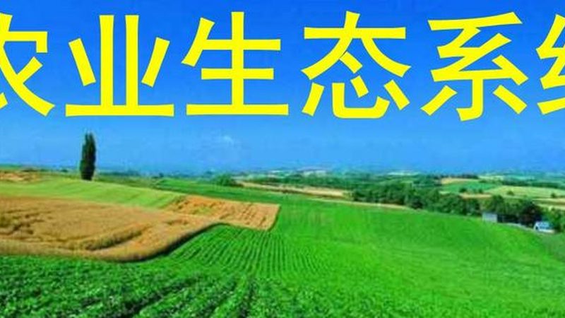 大豆种植一亩成本清单：如何精准控制成本，提高效益？**