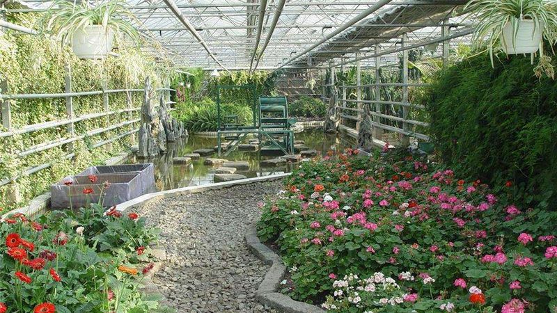 合作社助力农业发展：如何选择合适的种植养殖合作社**