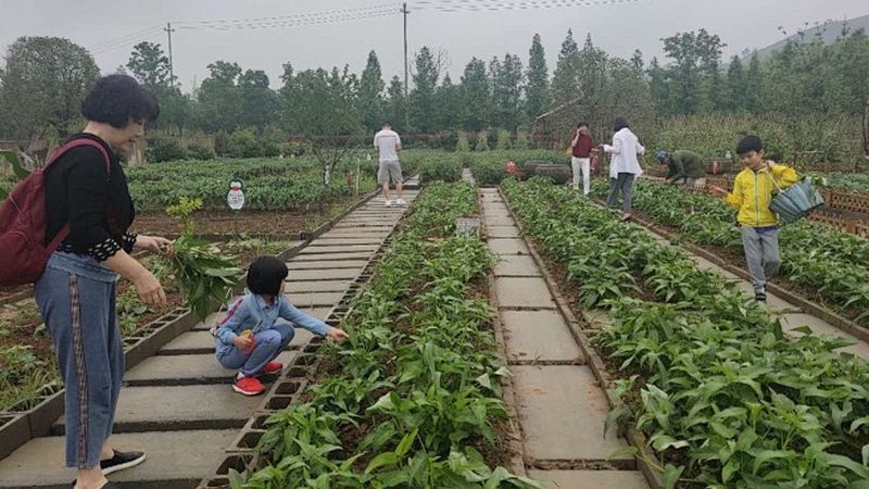 生鲜配送公司资质哪家好