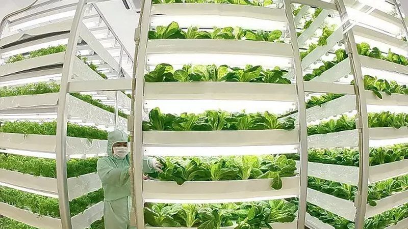 智能农业项目安装费用揭秘：如何合理估算与规划