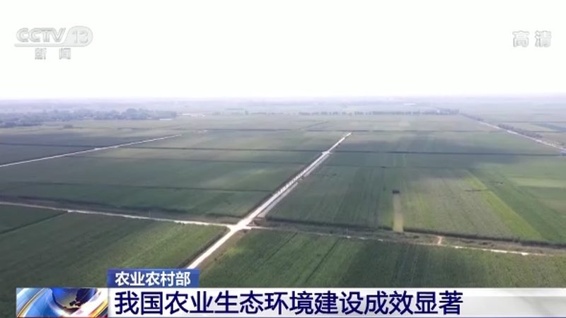 有机水果种植公司排名
