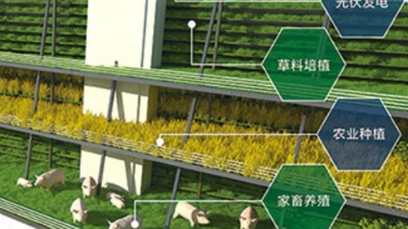 2025年农业产业园补贴政策解析：机遇与挑战并存**