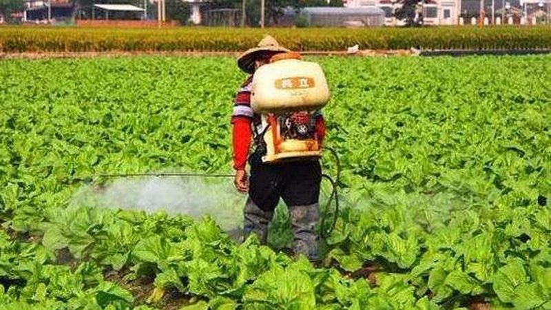 农资、农药、化肥：三者的本质区别与正确使用**