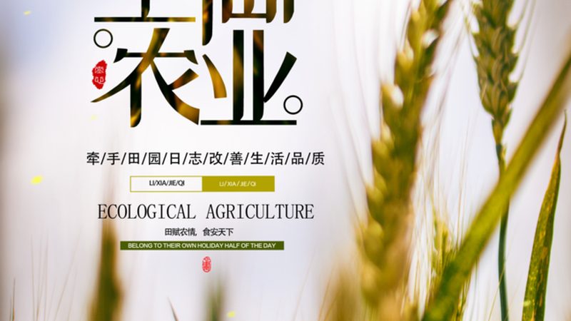 农业种植成本预算，加盟代理如何明智选择？**
